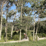 unnamed (39)