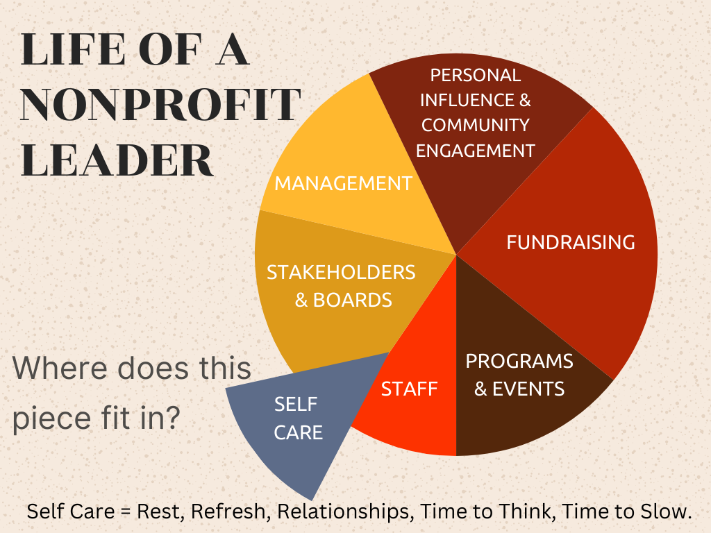 Non Profit Leader PIE