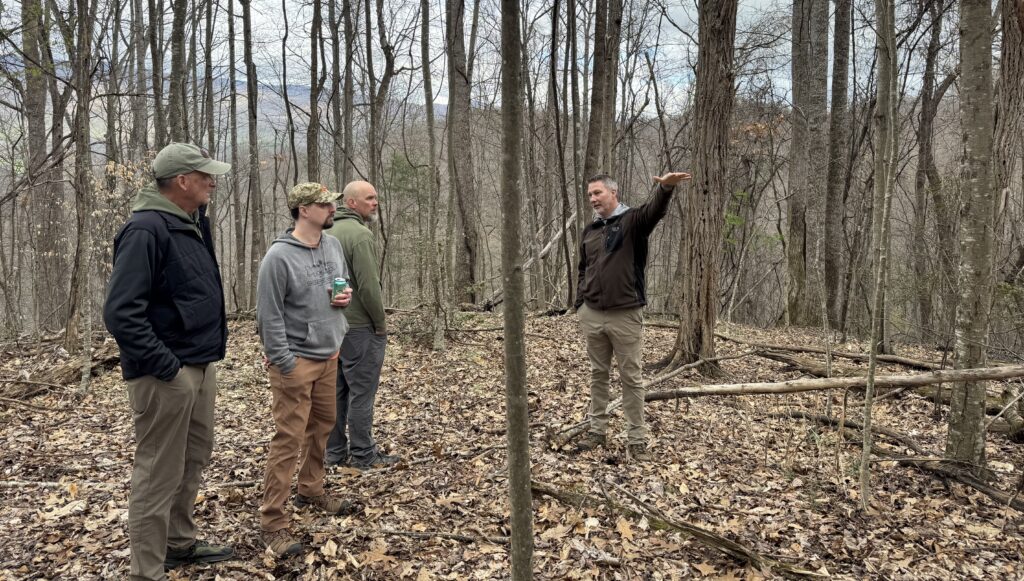 Four men discussing forest management in woods Four men discussing forest management in woods