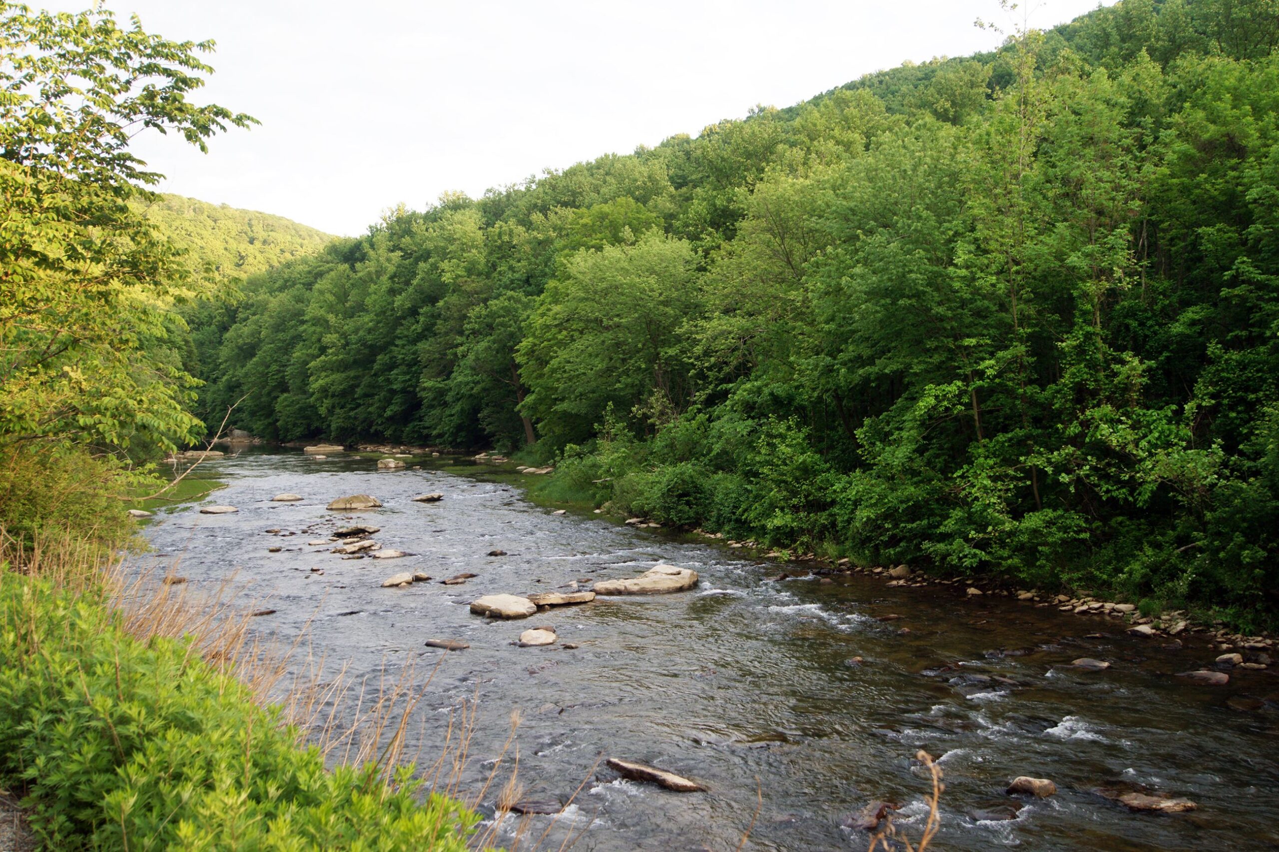 Loyalhanna Creek