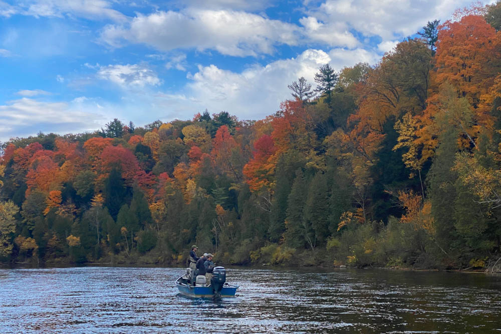 Muskegon Fall