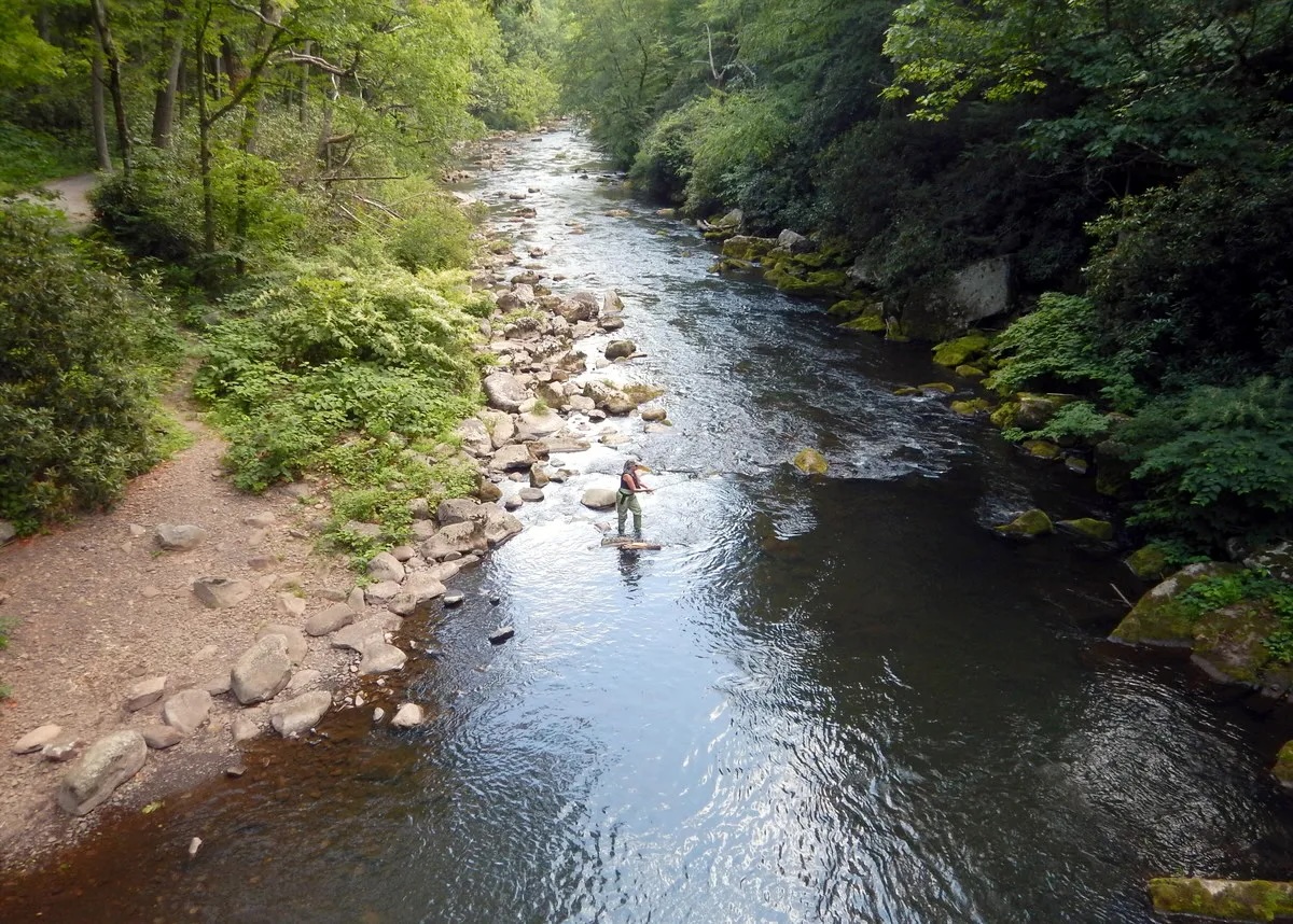 Savage River