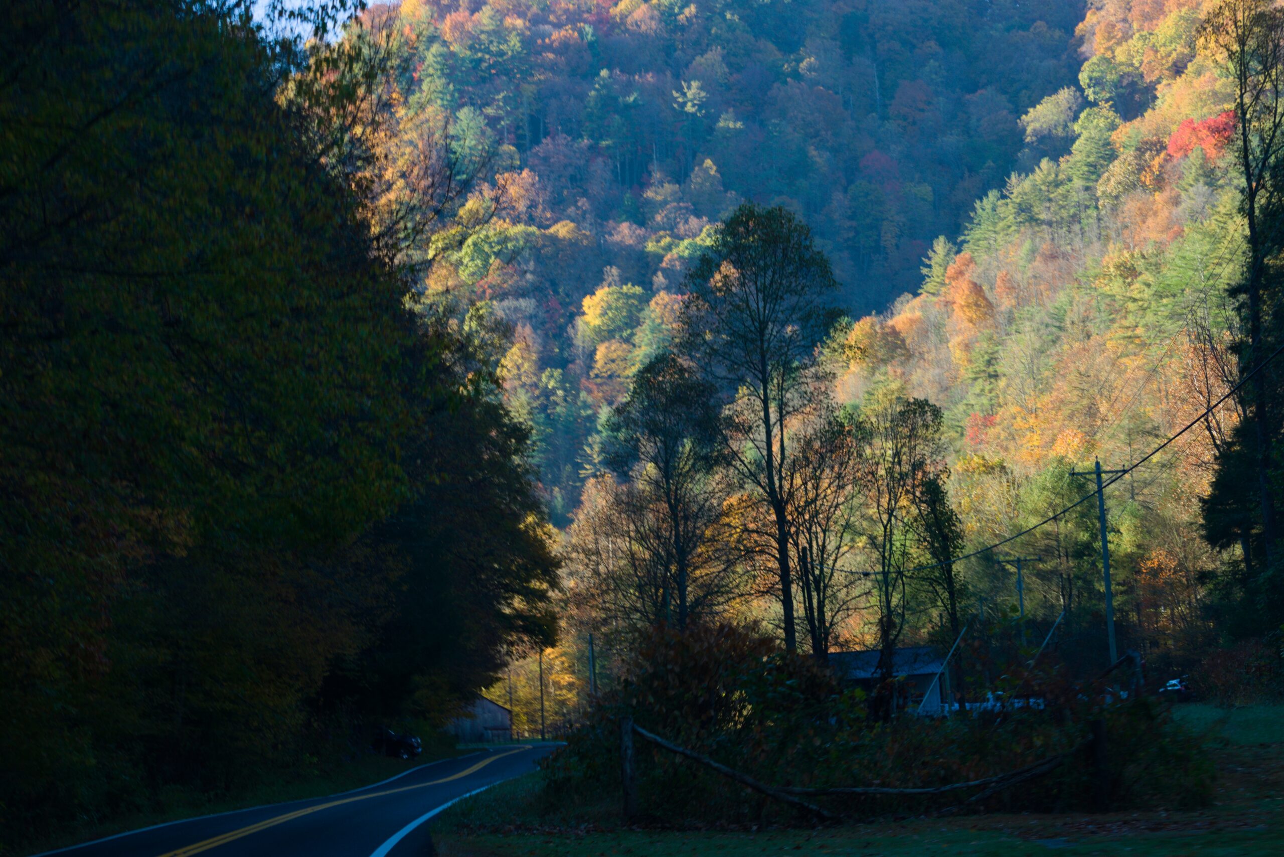 Bristol,,Tn,,Usa,,Oct,23,,2022:,Colorful,Autumn,Foliage,By