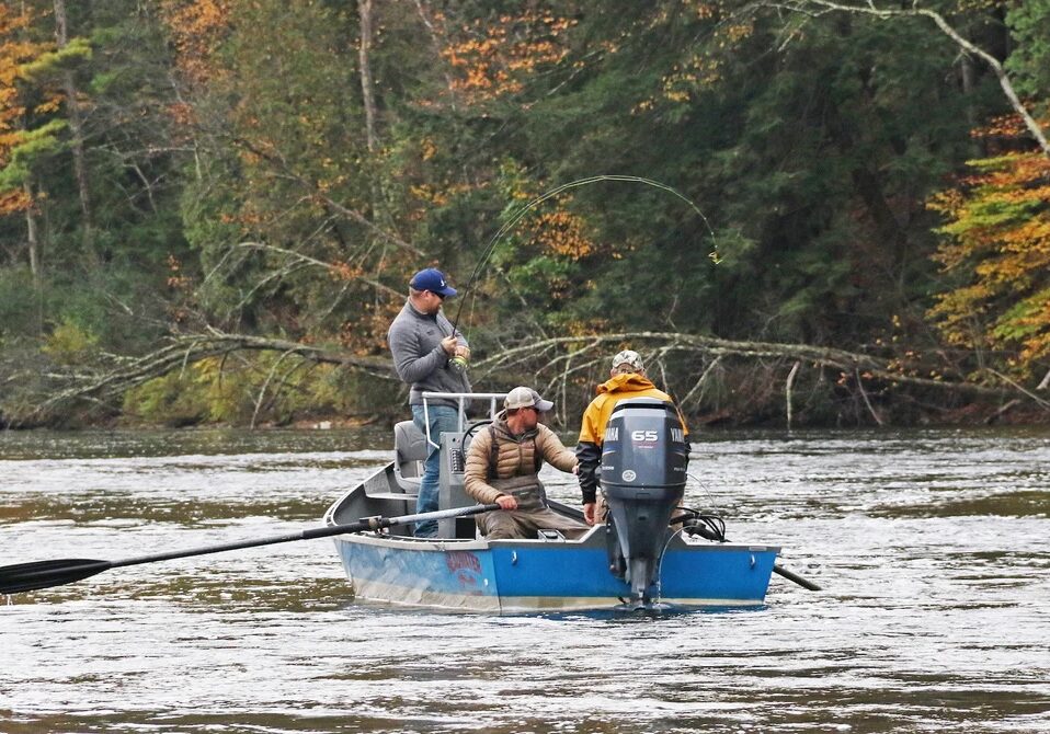 A_Muskegon_River_fly_fisherman_fights_a_fall_fish_it_could_be_either_a_salmon_or_steelhead.