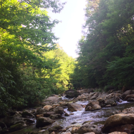 East_Fork_of_the_Pigeon_River