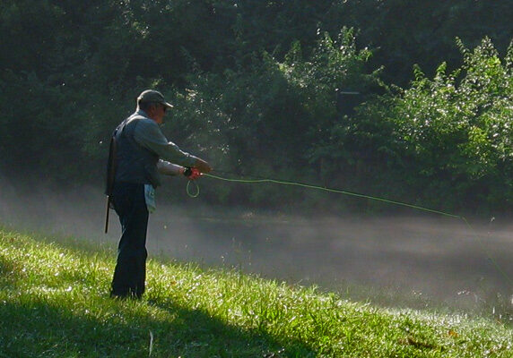 banner---Copy-of-Foggy-Phil-_3---Wild-Side